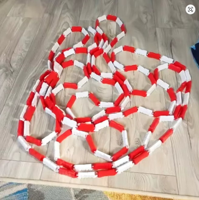 MINIRICCAR CIRCUIT KIT